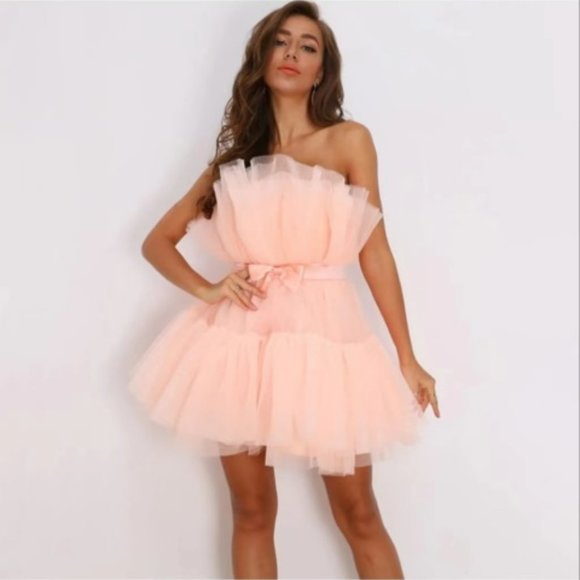 Elegant Mesh Rose Dress Ball Gown Mini Dress - Picture 5 of 7